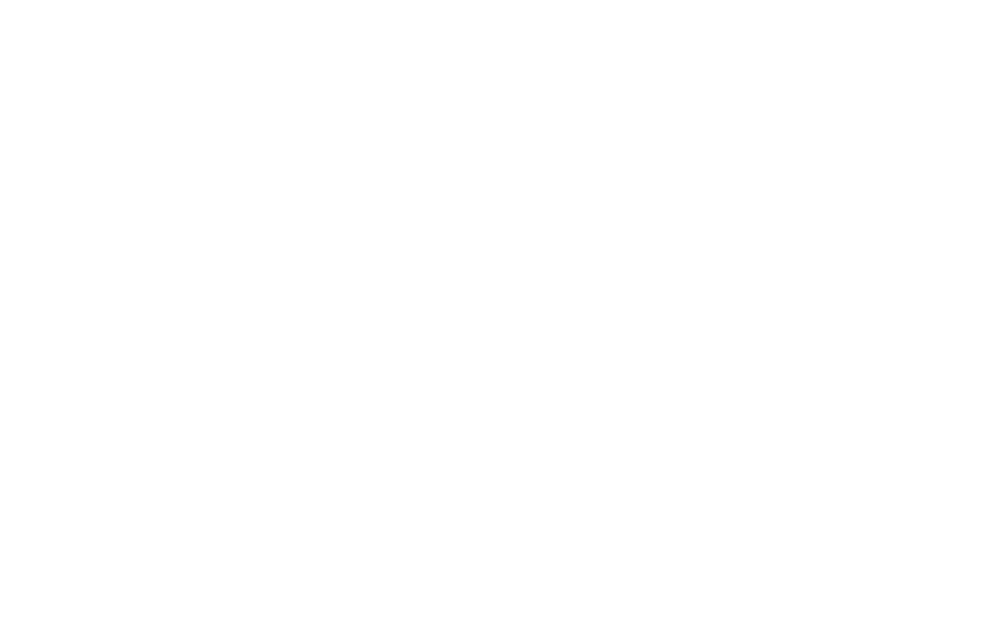 Renfe - transporte oficial