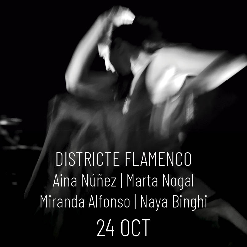 Districte Flamenco