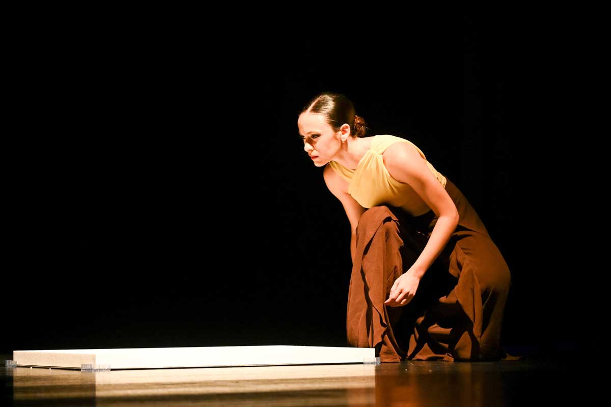 Districte Flamenco